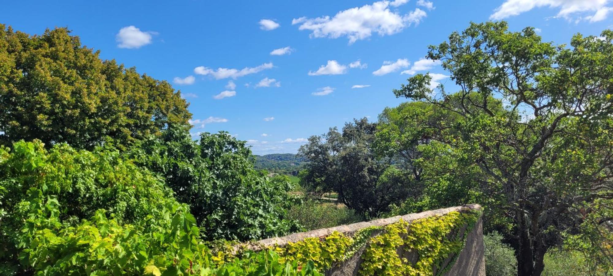 Le Domaine Du Soulier -Gite Et Chambres D'Hotes - La Maison Du Gardien Tornac Extérieur photo