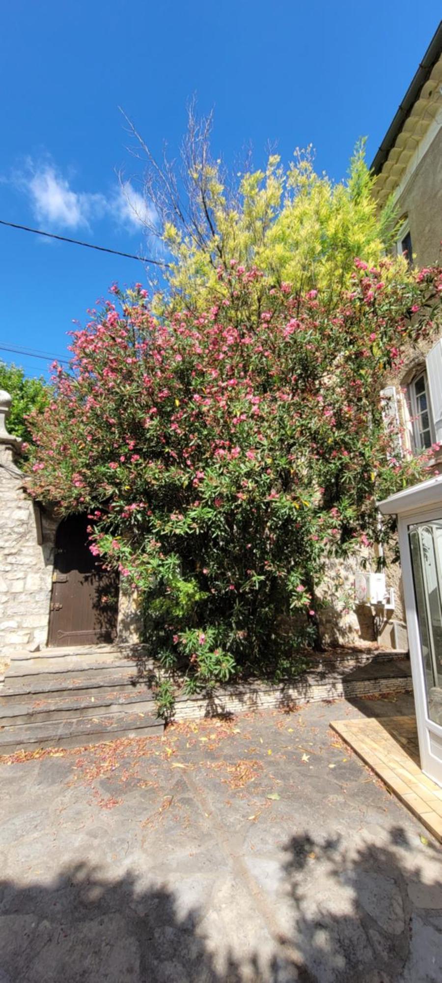 Le Domaine Du Soulier -Gite Et Chambres D'Hotes - La Maison Du Gardien Tornac Extérieur photo