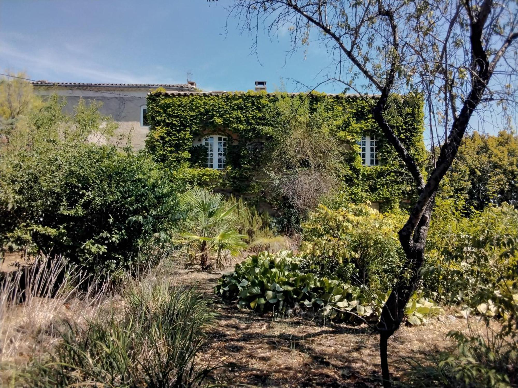 Le Domaine Du Soulier -Gite Et Chambres D'Hotes - La Maison Du Gardien Tornac Extérieur photo